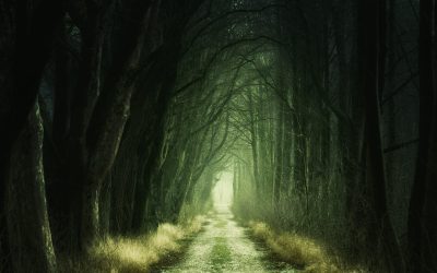 Change does not Have to be Scary, Embracing Transformation with Confidence