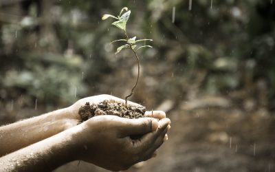 Can Hypnotherapy Be Used for Life Coaching?