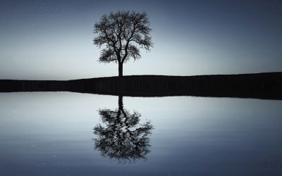 What Is Supervision and Why Do Practitioners Need It?