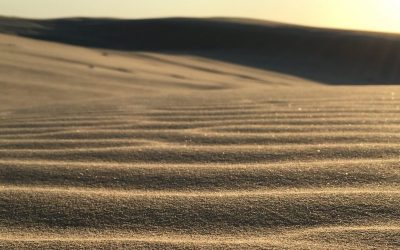 Why do I Fail at Everything? The Ripple Effect…